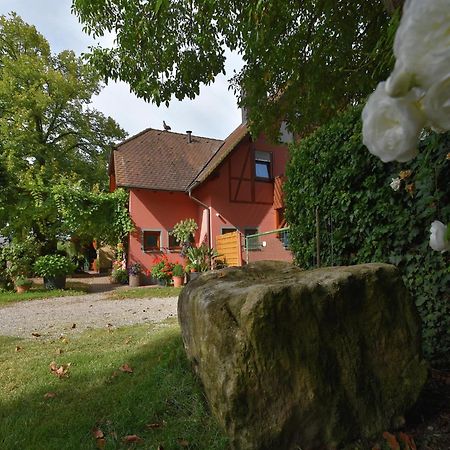 Countryside Apartment With Garden Schallstadt Extérieur photo