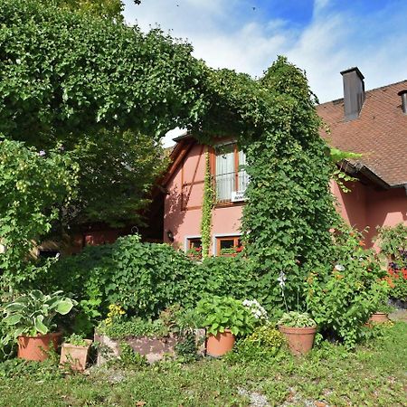 Countryside Apartment With Garden Schallstadt Extérieur photo