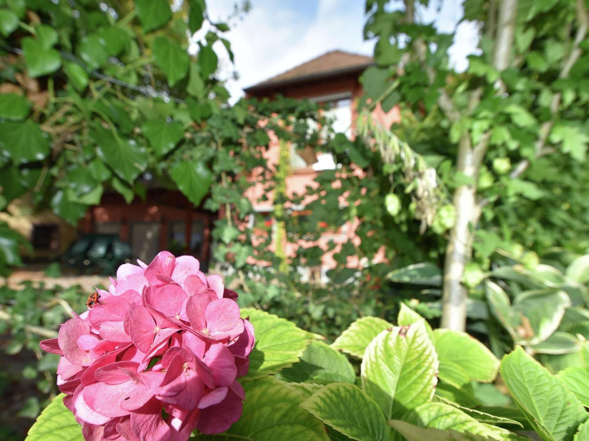 Countryside Apartment With Garden Schallstadt Extérieur photo