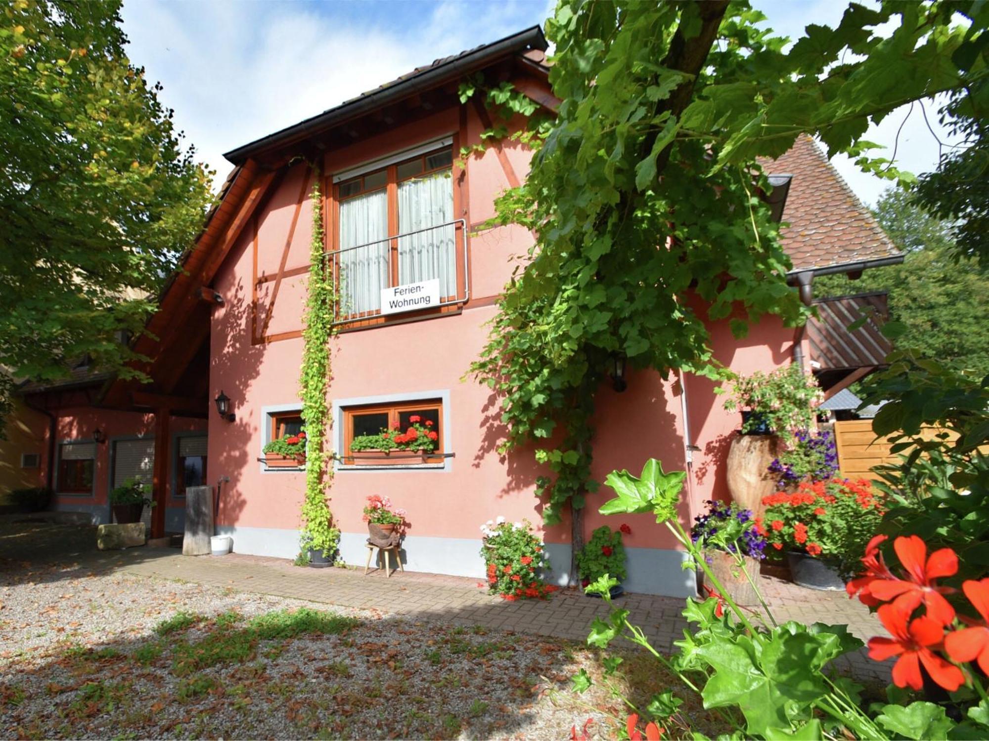 Countryside Apartment With Garden Schallstadt Extérieur photo