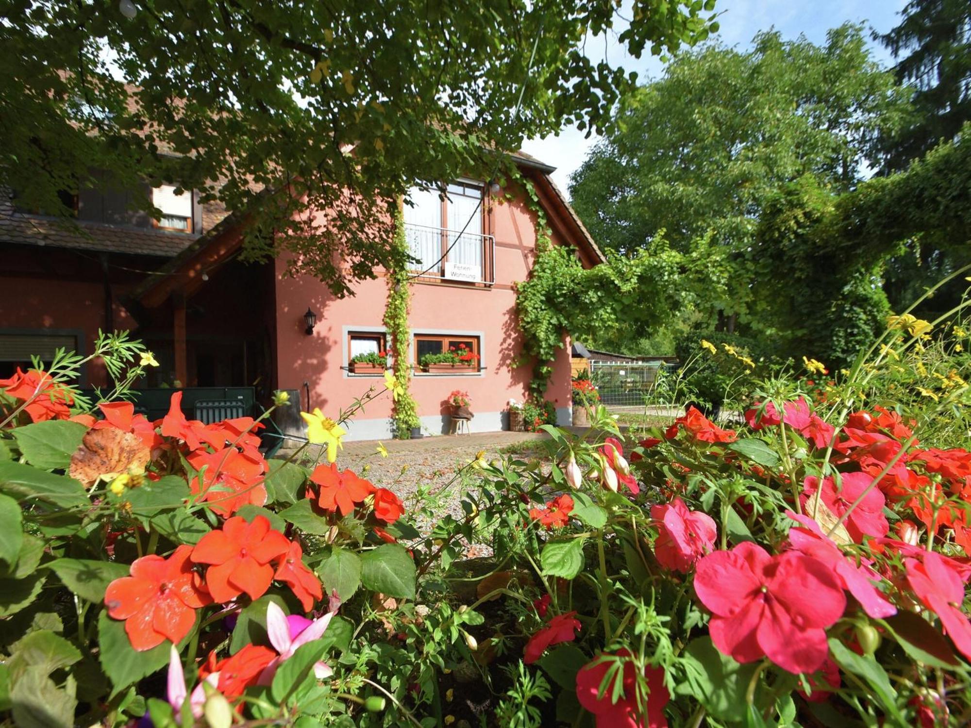 Countryside Apartment With Garden Schallstadt Extérieur photo