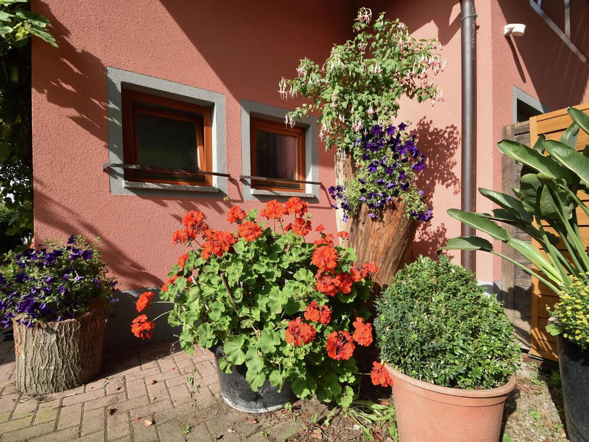 Countryside Apartment With Garden Schallstadt Extérieur photo
