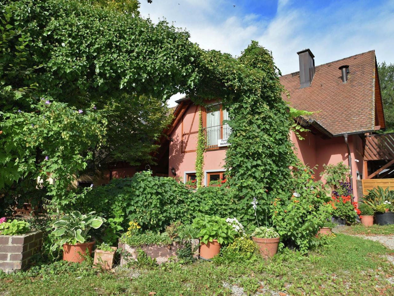 Countryside Apartment With Garden Schallstadt Extérieur photo